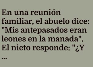 La bufanda del abuelo león