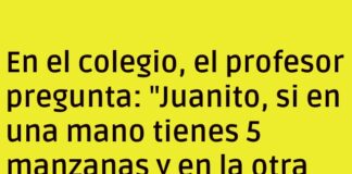 Matemáticas o Manzanas Gigantes