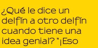 Onda Genial entre Delfines