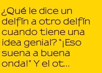 Onda Genial entre Delfines