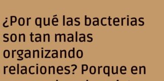 «Amor Bacteriano: Siempre Dividiéndose»