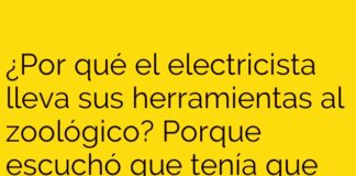 Amperios en el Zoológico