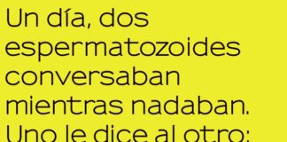 Carrera Equivocada