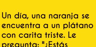 Dramas Frutales: Al Filo de la Cáscara