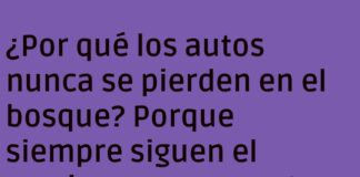 El Auto Desorientado y el Árbol GPS