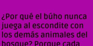 El búho lento en el bosque