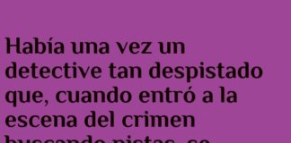 El Detective Reflejado