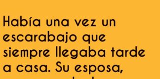 «El escarabajo detenido por exceso de placas»
