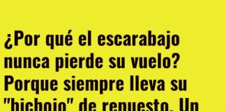 El escarabajo nunca pierde el ritmo: su bichojo siempre al rescate