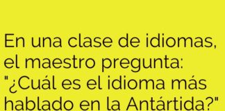 El frío secreto del pingüinés.