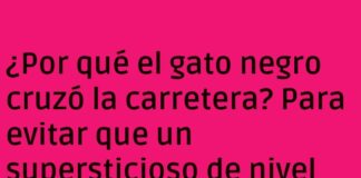 El Gato Negro y el Bucle de la Mala Suerte