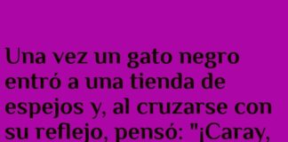 El gato negro y su cambio de suerte.