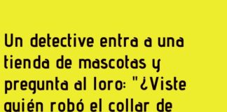 El Loro Fiel al Silencio