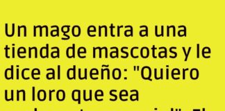El Loro Más Honesto del Mundo