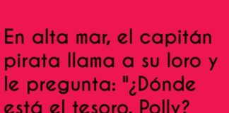 El loro pirata y la brújula despistada