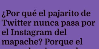 «El mapache influencer del reciclaje digital»