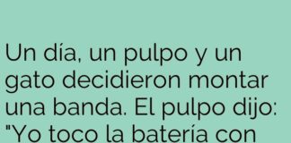 «El Pulpo Baterista y el Gato Vocalista»