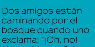 El regalo premeditado