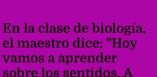 El sentido imprescindible en la escuela
