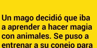 El truco del conejo huelga de hambre