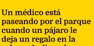 Gracias al Cielo que las Vacas no Vuelan