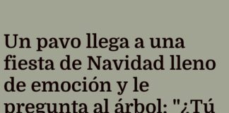 «Iluminados en la Fiesta de Navidad»