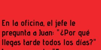 «Improvisación matutina en la oficina»