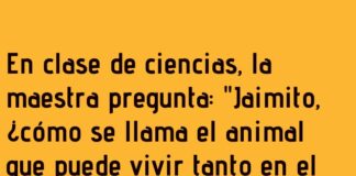 Jaimito y el animal anfibio inesperado