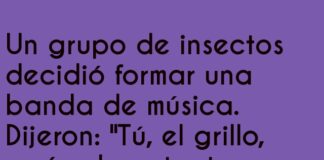 La banda insectante del éxito bicho-nito