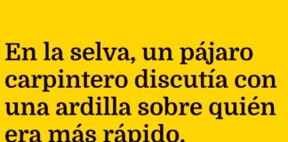 «La victoria sorpresiva de la tortuga persistente»