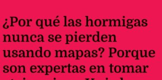 Las Hormigas y sus Atajo-migas Luminosos