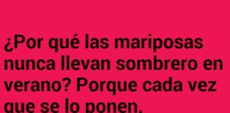 Mariposas: desfile sin sombrero.