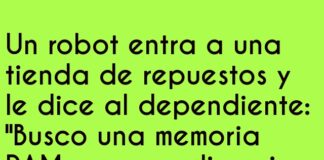 Memoria RAM con Memoria de Elefante