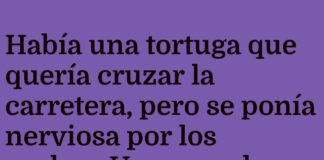 Mente de Ferrari en caparazón de tortuga
