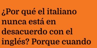 Paz y Pasta: La Receta de la Armonía