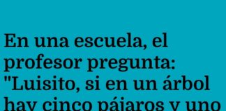 Pájaros alertas después de la clase