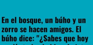 Sabiduría vs Estilo en el Bosque