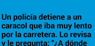 «Semáforo Caracol: Infracción a Paso Lento»