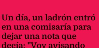 Un ladrón con estilo y un novato creativo