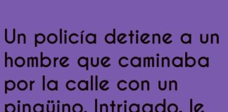 Vacaciones con el pingüino.