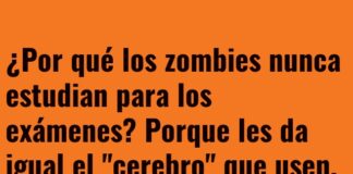 Zombies en Época de Exámenes: La Receta del Éxito