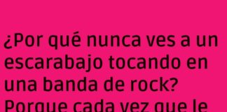 «Bicho Enredado: El Escarabajo Rockero»