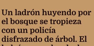 Camuflaje urbano: misión imposible