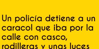 Caracol en modo persecución máxima