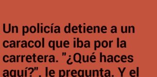 «Caracol patrullero en modo ‘desacelerado'»