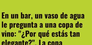 Cita Elegante vs. Rutina Acuática