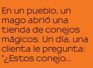Conejos Mágicos: ¡Abrigos Desaparecidos!