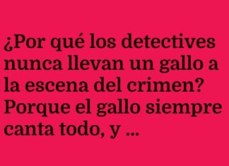 «Detectives sin Opera de Kukuriku»