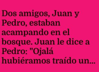 «El atajo del extravío»