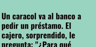 El caracol ciclista: a toda velocidad con una sonrisa